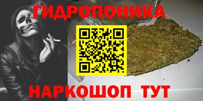 ALPHA PVP Малгобек