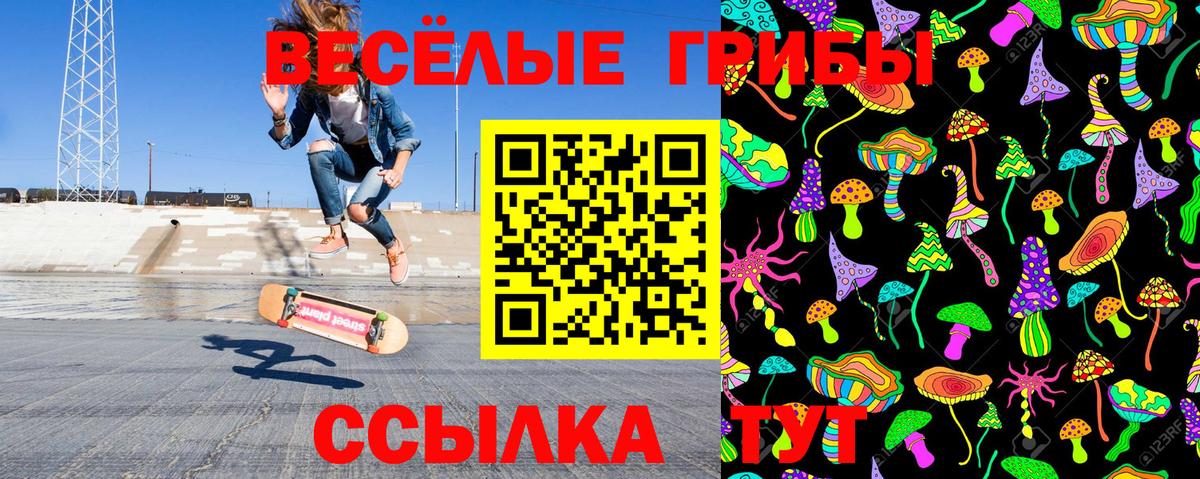 Псилоцибиновые грибы мухоморы Зеленогорск